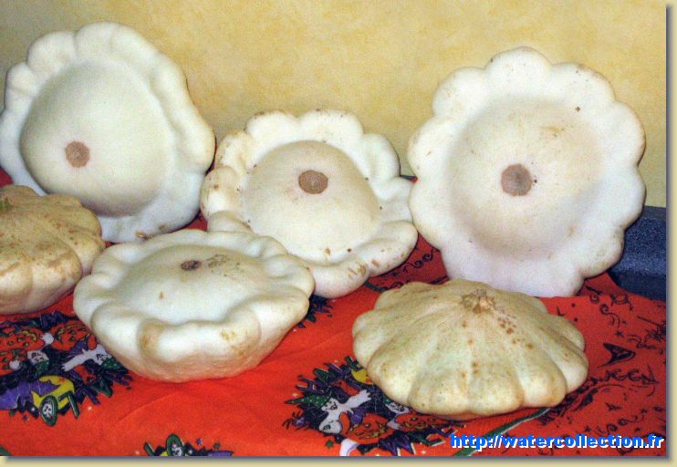 Diapositive suivante